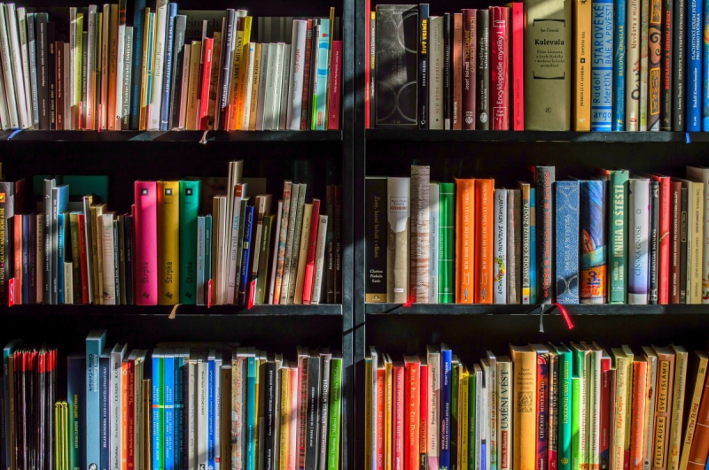 ecommerce-ST MARTIN VESUBIE-min_books_bookstore_book_reading_shop_writer_sale_books_read-822866